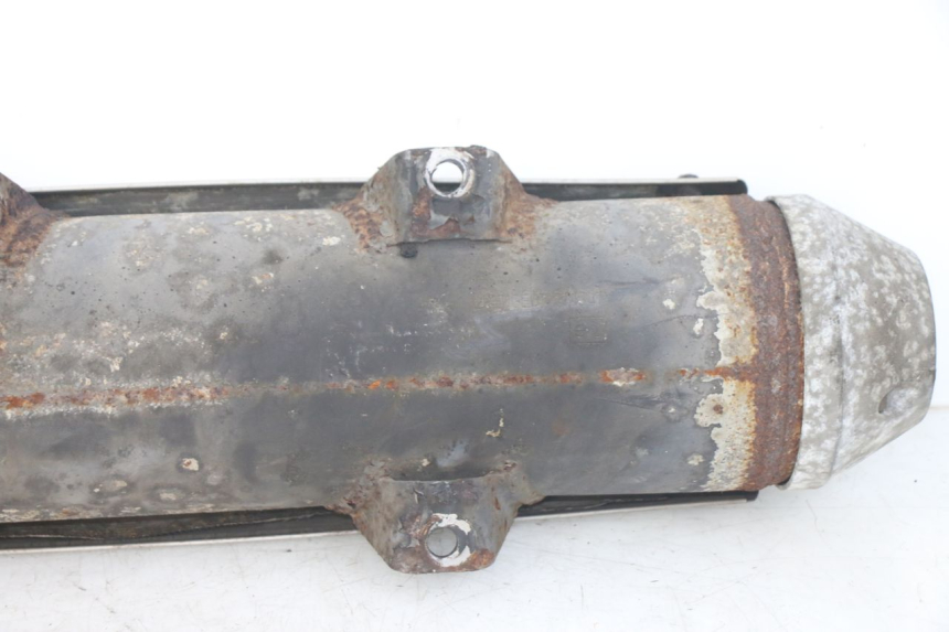 photo de SCARICO PEUGEOT GEOPOLIS RS 125 (2007 - 2009)