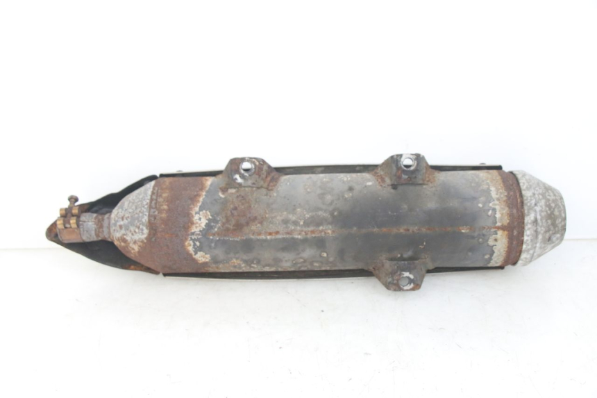 photo de SCARICO PEUGEOT GEOPOLIS RS 125 (2007 - 2009)