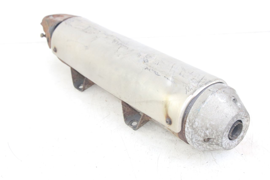 photo de SCARICO PEUGEOT GEOPOLIS RS 125 (2007 - 2009)