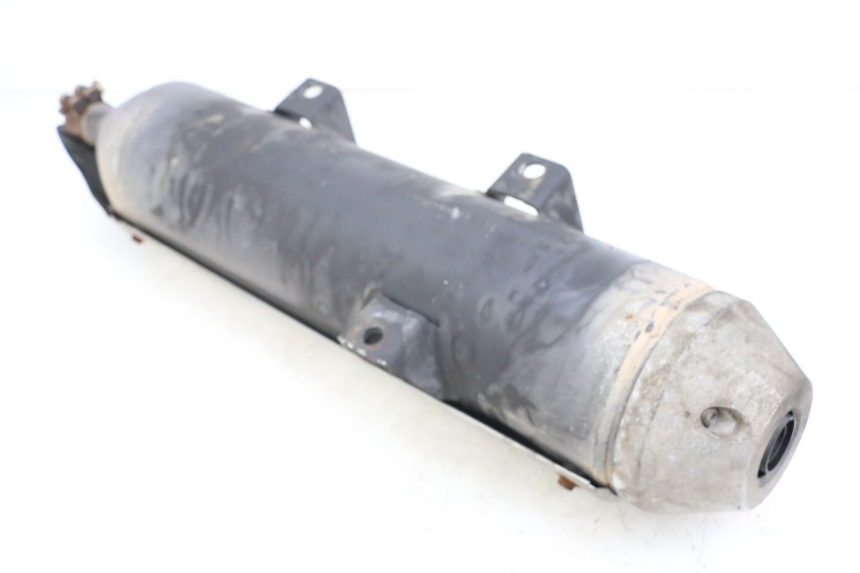 photo de SCARICO PEUGEOT GEOPOLIS RS 125 (2007 - 2009)