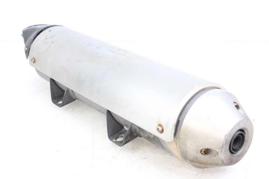 photo de SCARICO PEUGEOT GEOPOLIS RS 125 (2007 - 2009)