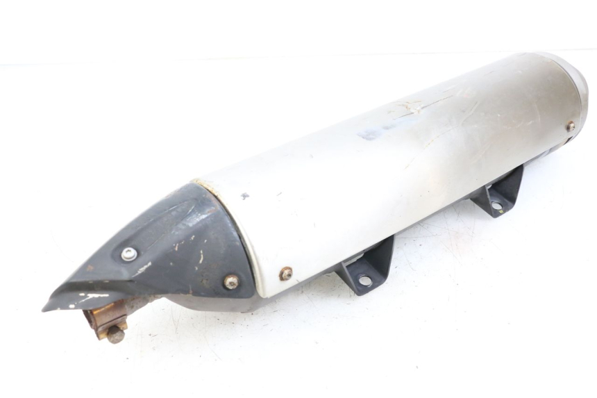 photo de SCARICO PEUGEOT GEOPOLIS RS 125 (2007 - 2009)