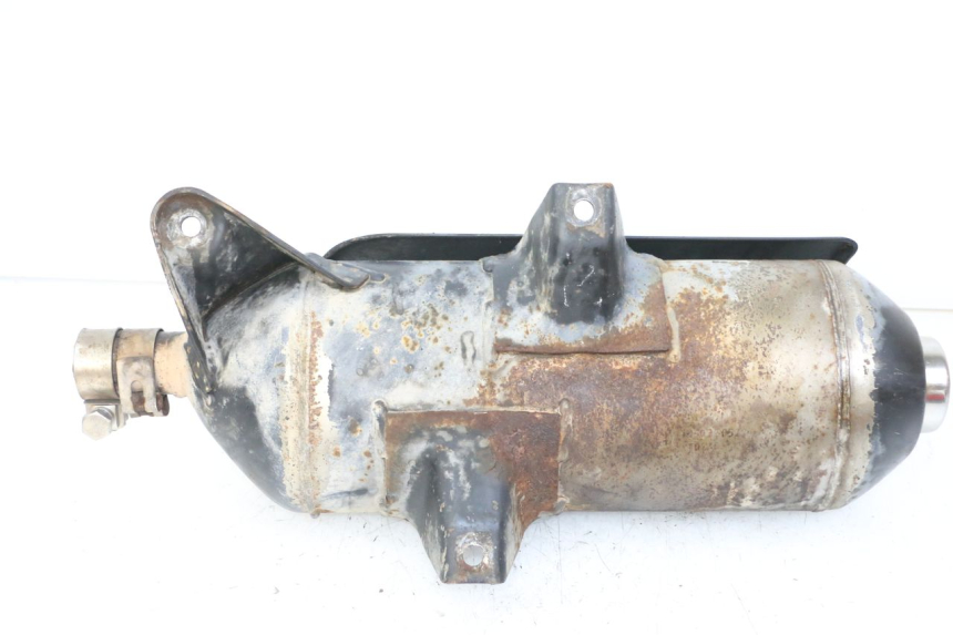 photo de SCARICO GILERA NEXUS 300 (2008 - 2013)