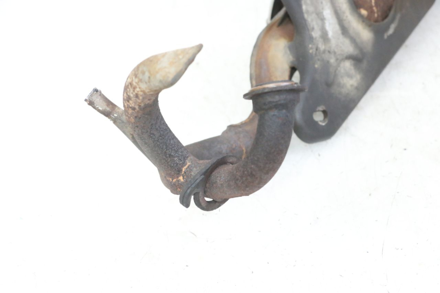 photo de SCARICO PEUGEOT JET FORCE CARBU 50 (2003 - 2016)