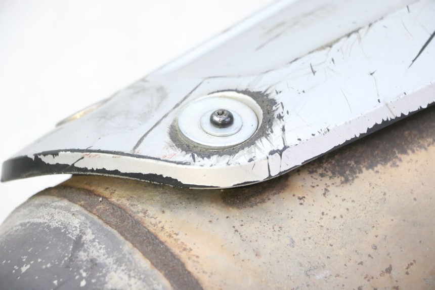 photo de SCARICO PIAGGIO MP3 RL 250 (2007 - 2010)