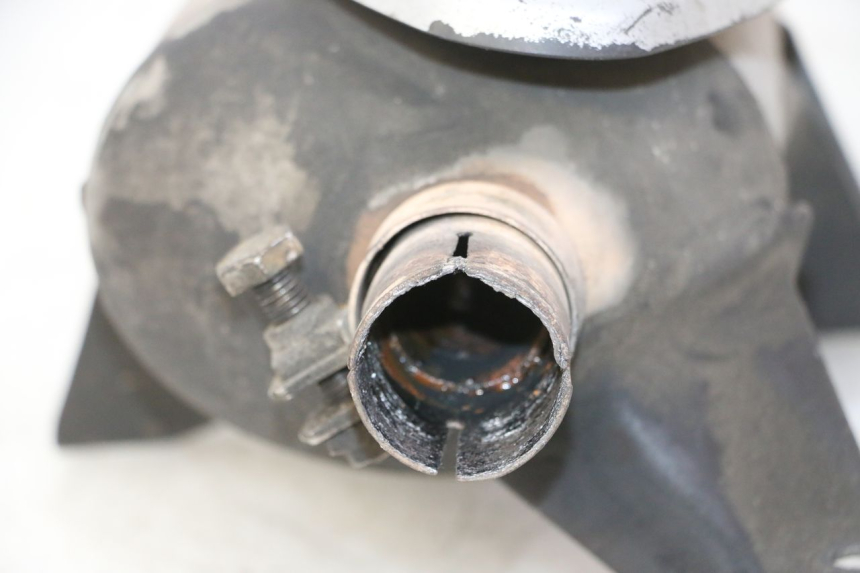 photo de SCARICO PIAGGIO MP3 RL 250 (2007 - 2010)