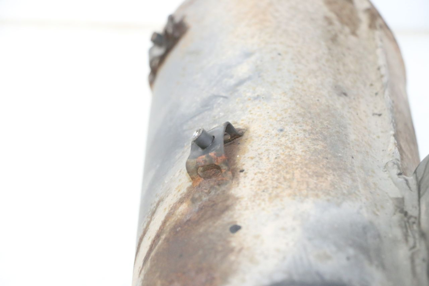 photo de SCARICO PIAGGIO NEW TYPHOON 50 (2010 - 2017)