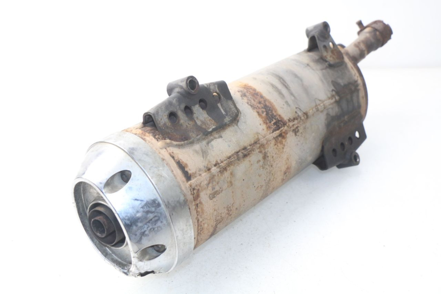 photo de Scarico HONDA NSS EX FORZA 250 (2008 - 2009)
