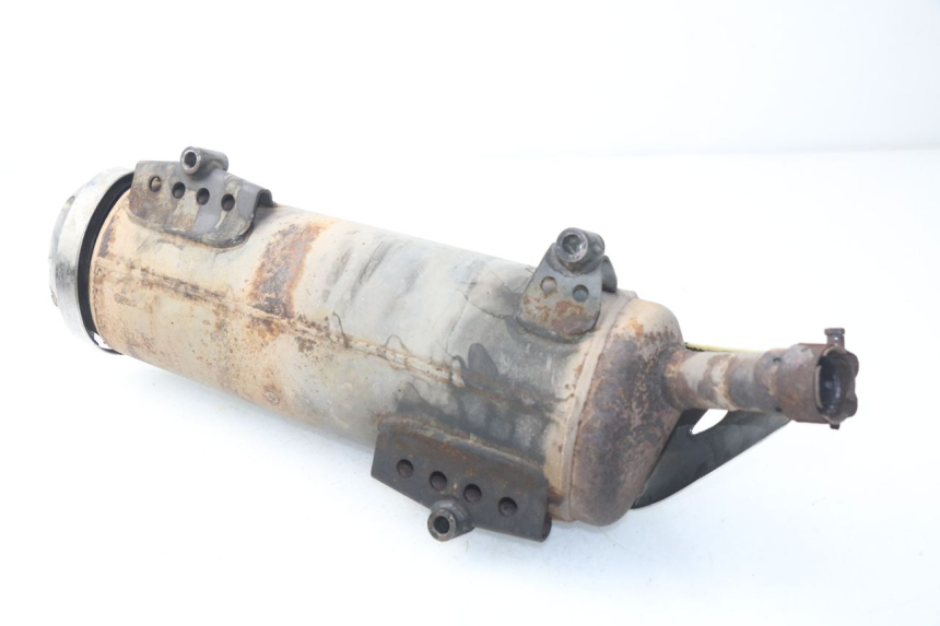 photo de Scarico HONDA NSS EX FORZA 250 (2008 - 2009)