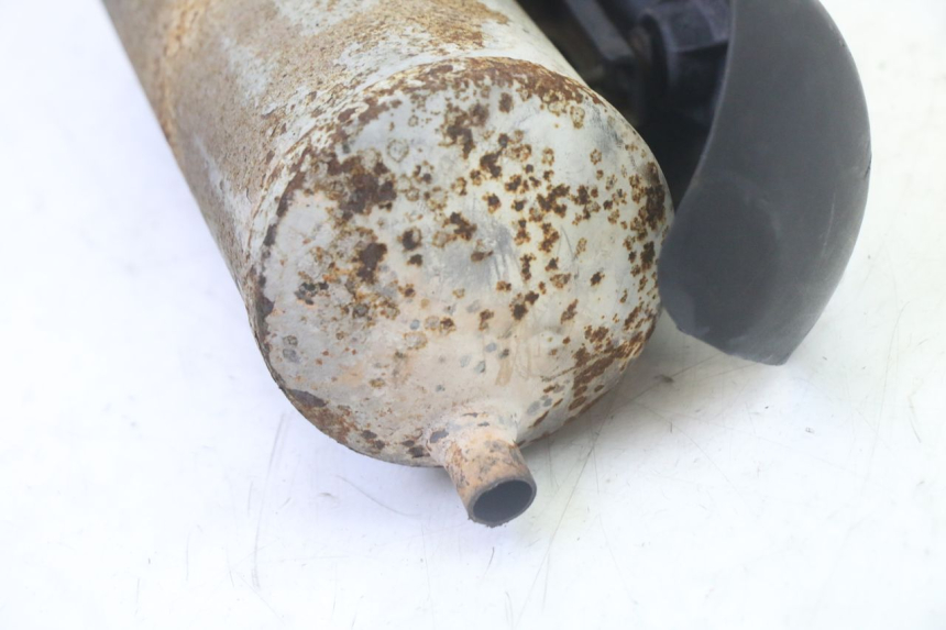 photo de SCARICO TNT MOTOR ROMA 10' 2T 50 (2011 - 2018)