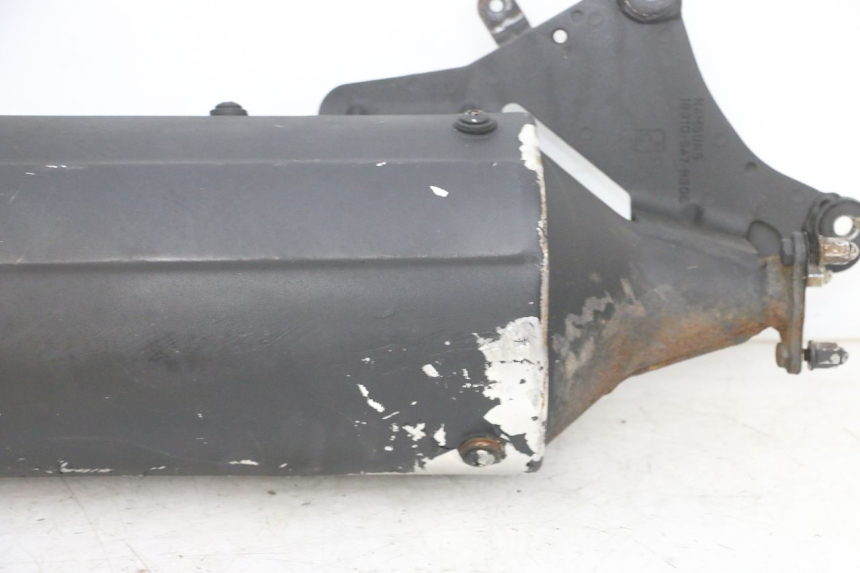 photo de SCARICO DAELIM S1 125 (2007 - 2016) - Caratteristiche distintive