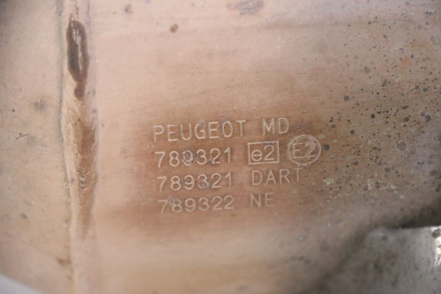 photo de SCARICO PEUGEOT SATELIS 125 (2013 - 2018)