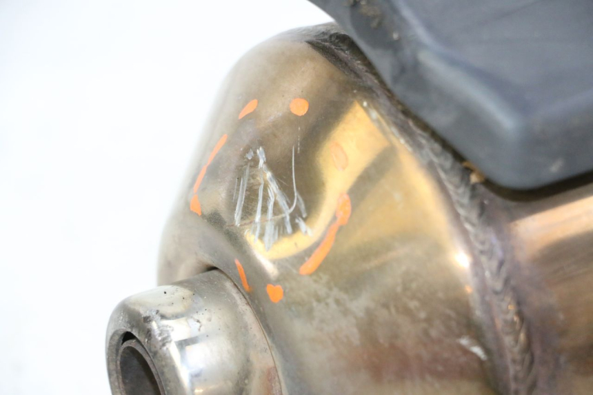 photo de SCARICO PEUGEOT SATELIS 125 (2006 - 2009)