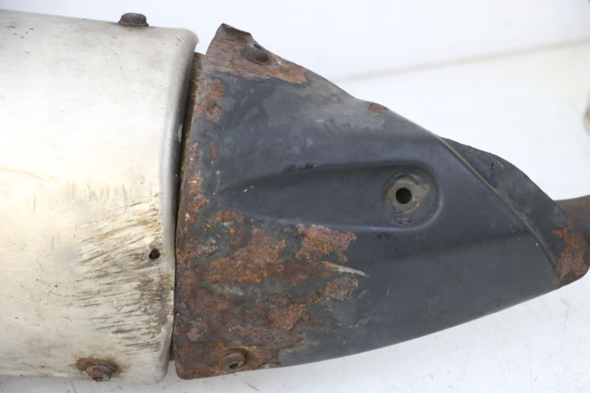 photo de SCARICO PEUGEOT SATELIS 125 (2006 - 2009)