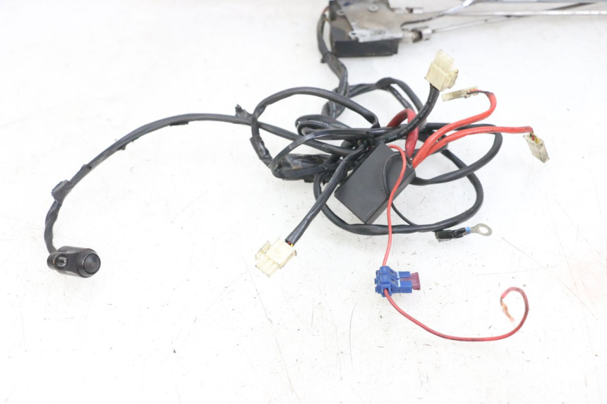 photo de SCARICO HARLEY DAVIDSON SPORTSTER XL CUSTOM 1200 (2003 - 2004)