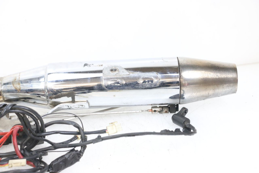 photo de SCARICO HARLEY DAVIDSON SPORTSTER XL CUSTOM 1200 (2003 - 2004)