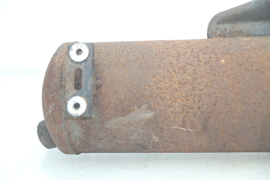 photo de SCARICO TNT MOTOR OTTO 2T 50 (2012 - 2018)