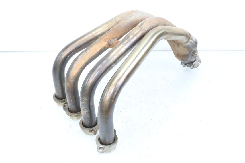 photo de SCARICO YAMAHA XJ6 ABS 600 (2008 - 2016)