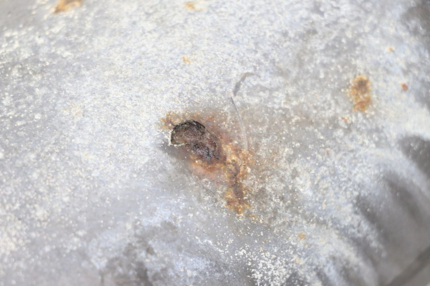 photo de SCARICO YAMAHA YP MAJESTY 125 (2007 - 2010)