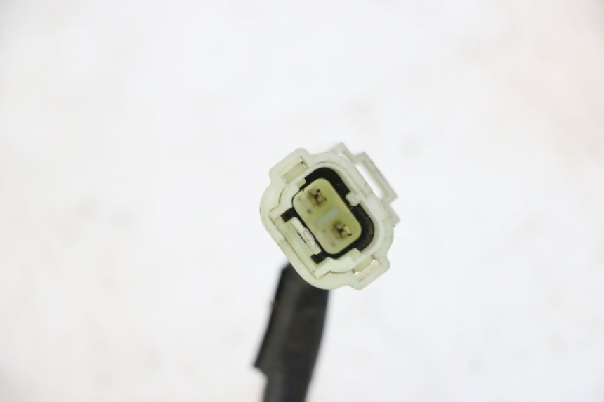photo de PRESA ACCENDISIGARI SYM JOYMAX 125 (2010 - 2017)
