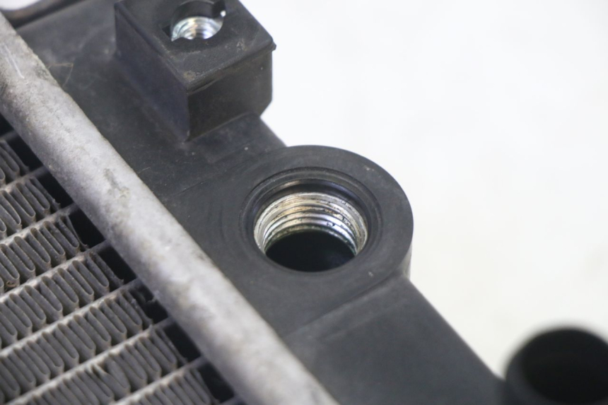 photo de RADIATORE QUADRO 4 4D 350 (2015 - 2018)