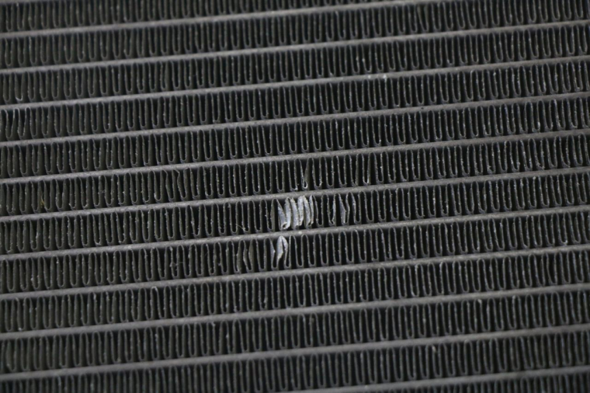 photo de RADIATORE QUADRO 4 4D 350 (2015 - 2018)