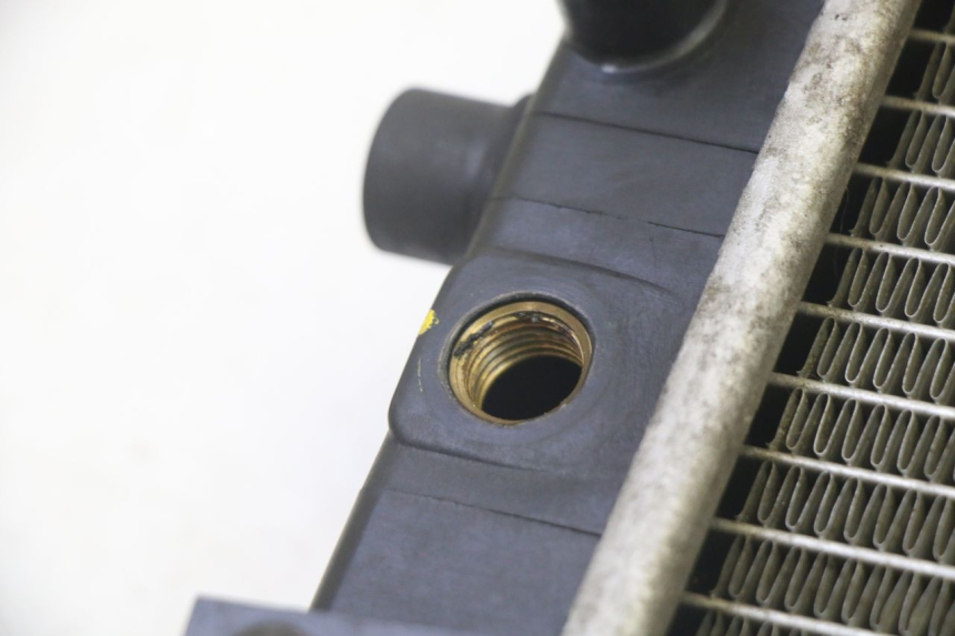 photo de RADIATORE ADIVA AD3 300 (2014 - 2020)