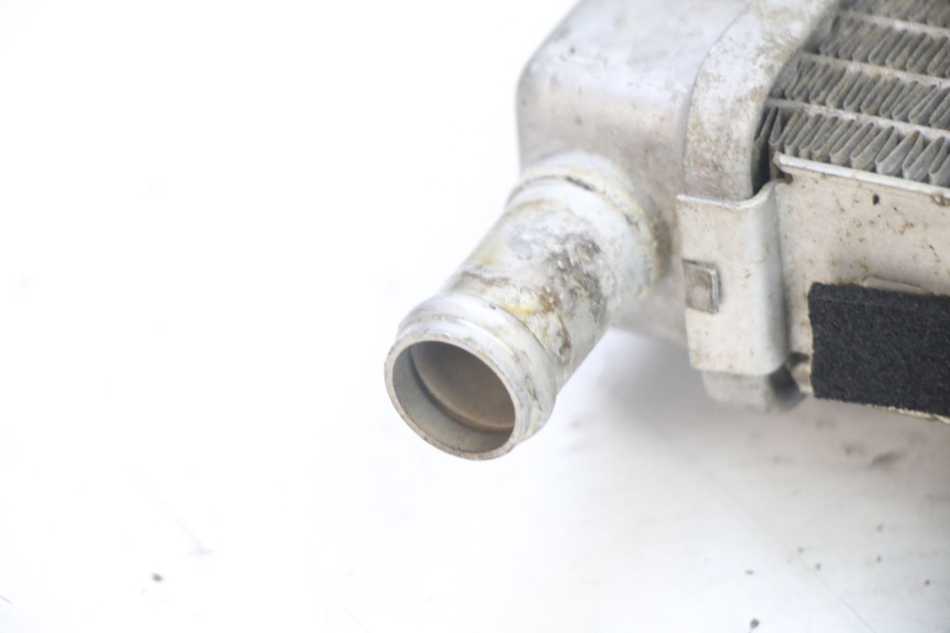 photo de RADIATORE APRILIA ATLANTIC 125 (2003 - 2009)