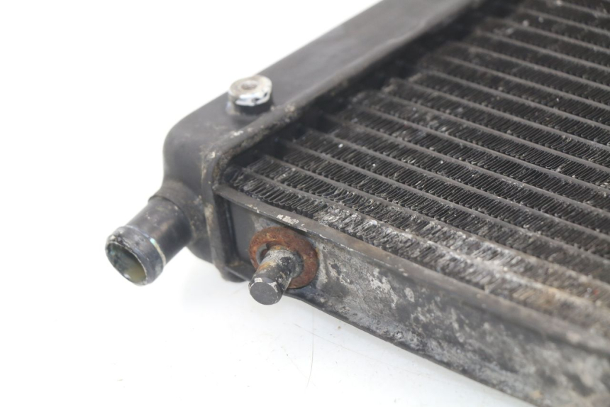 photo de RADIATORE APRILIA RS AF-1 125 (1990 - 1993)