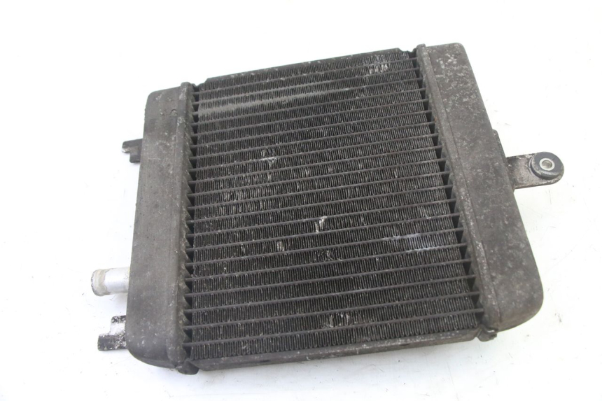 photo de RADIATORE SUZUKI BURGMAN 125 (2007 - 2014)