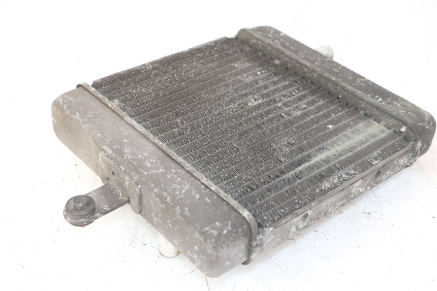 photo de RADIATORE SUZUKI BURGMAN 125 (2007 - 2014)