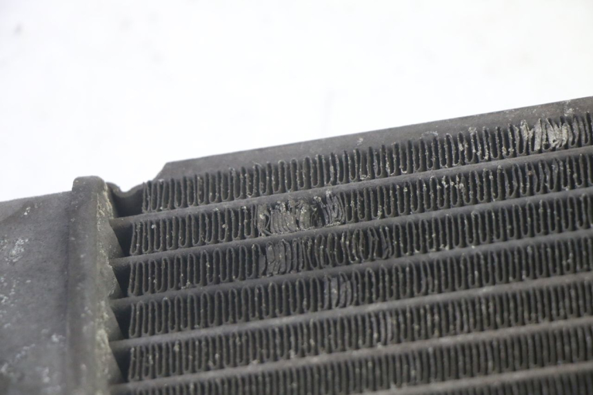 photo de RADIATORE SUZUKI BURGMAN 125 (2007 - 2014) - Stato della superficie e materiale