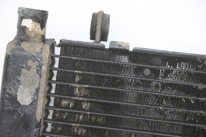 photo de RADIATORE HONDA CBF 500 (2004 - 2007)