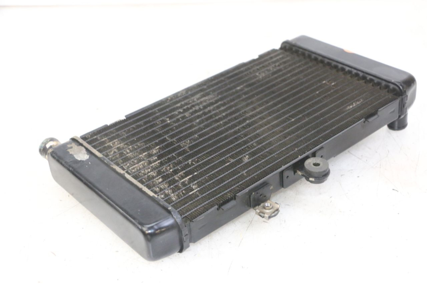 photo de RADIATORE HONDA CBF 500 (2004 - 2007)