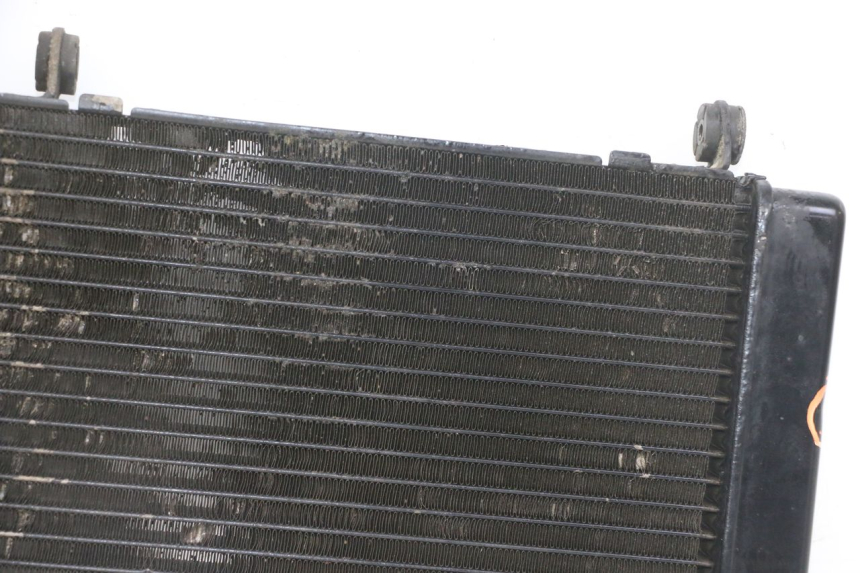 photo de RADIATORE HONDA CBF 500 (2004 - 2007)