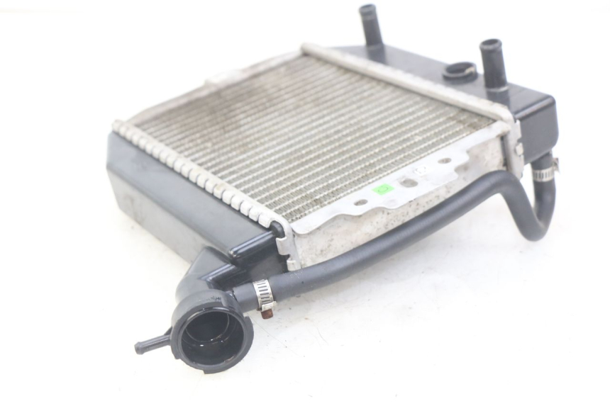 photo de RADIATORE PEUGEOT CITYSTAR 125 (2011 - 2017) - Zoom sullo stato d'uso