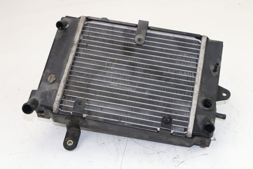 photo de RADIATORE DAELIM S3 125 (2010 - 2017)
