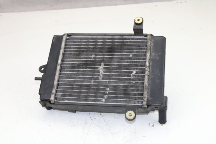 photo de RADIATORE DAELIM S3 125 (2010 - 2017)