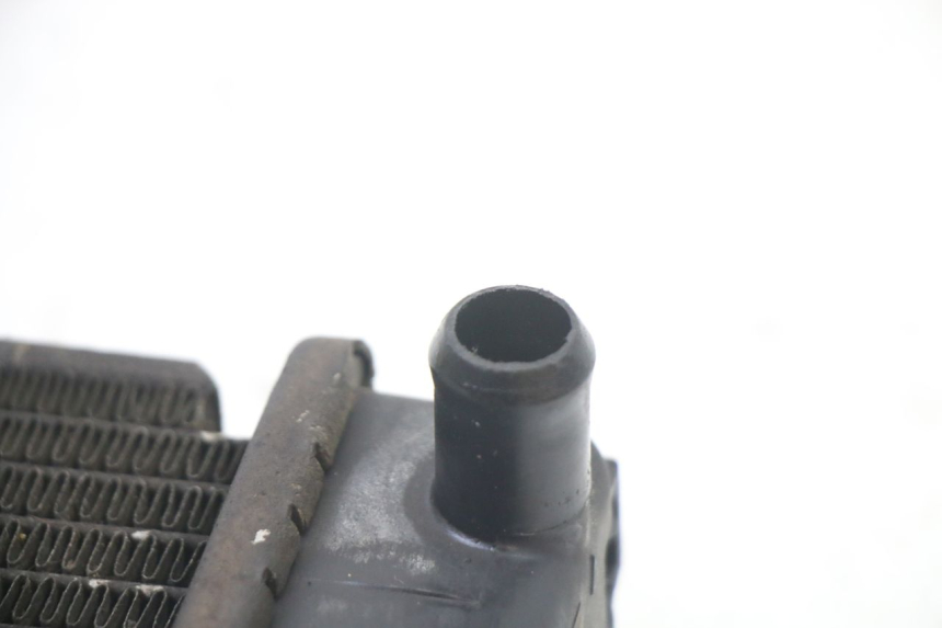 photo de RADIATORE KYMCO DINK STREET 125 (2009 - 2014)