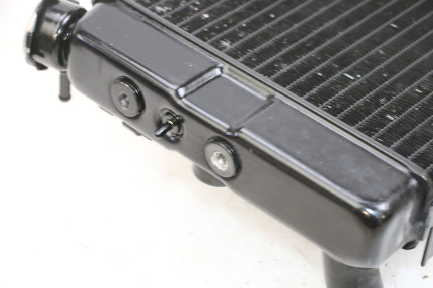 photo de RADIATORE SUZUKI DL V STROM 1000 (2002 - 2007) - Stato della superficie e materiale