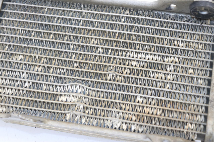 photo de RADIATORE DESTRO HONDA CRF 250 (2013 - 2016)