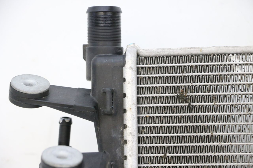 photo de RADIATORE BMW R GS 1250 (2021 - 2024) - Ispezione visiva dettagliata