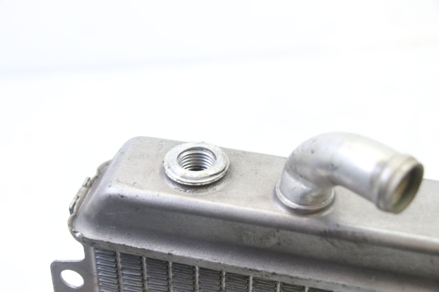 photo de RADIATORE PEUGEOT ELYSEO 125 (1999 - 2004)