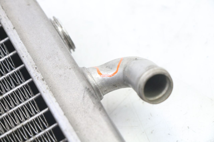 photo de RADIATORE PEUGEOT ELYSEO 125 (1999 - 2004)