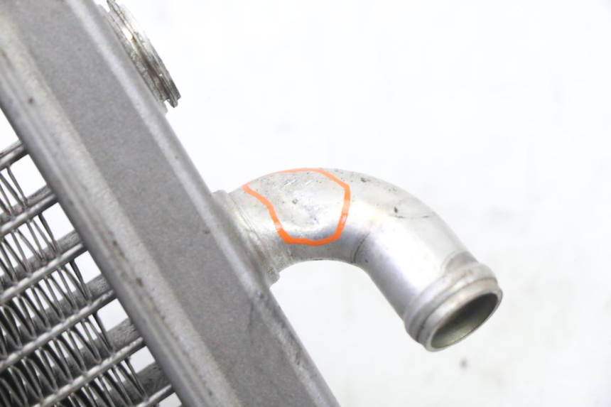 photo de RADIATORE PEUGEOT ELYSEO 125 (1999 - 2004)