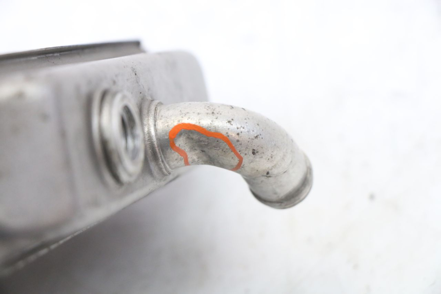 photo de RADIATORE PEUGEOT ELYSEO 125 (1999 - 2004)
