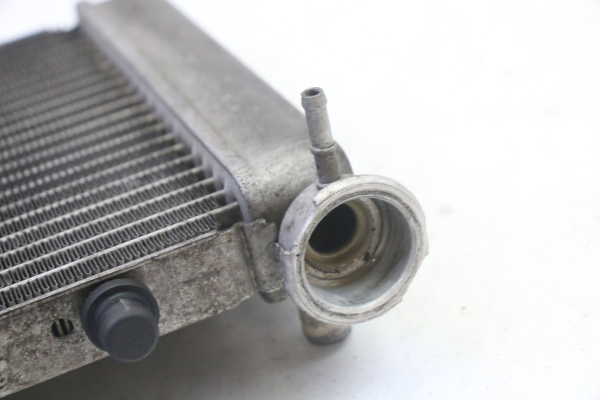 photo de RADIATORE HONDA FES S-WING SWING ABS 125 (2007 - 2015)