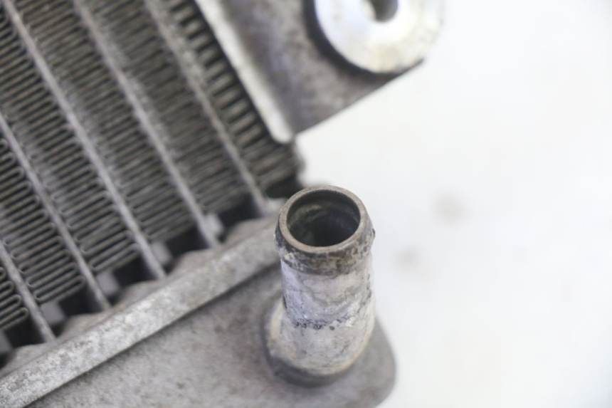 photo de RADIATORE HONDA FES S-WING SWING ABS 125 (2007 - 2015)