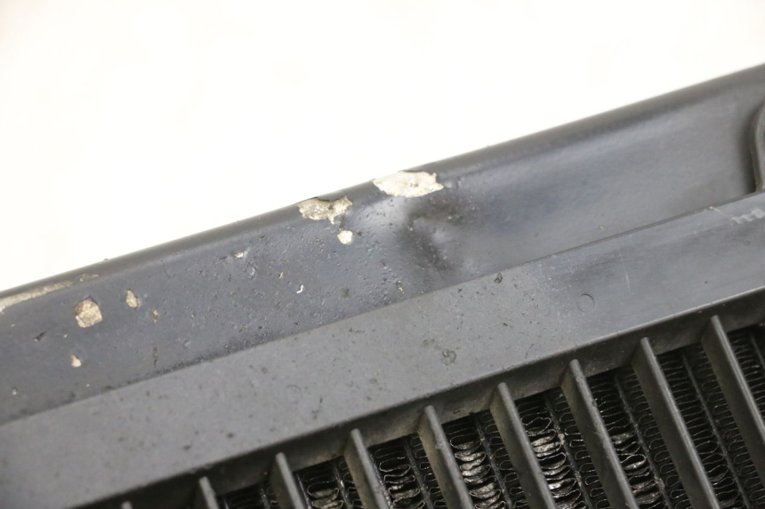 photo de RADIATORE YAMAHA FJR ABS 1300 (2006 - 2012) - Primo piano tecnico