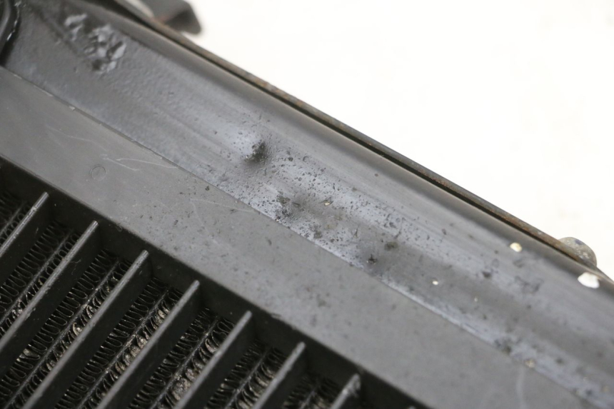 photo de RADIATORE YAMAHA FJR ABS 1300 (2006 - 2012) - Vista d'insieme del prodotto